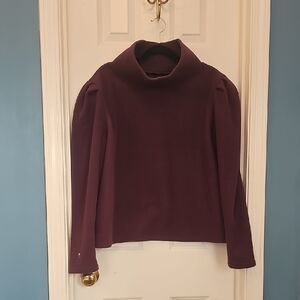 Dudley Stephens Rich Purple Turtleneck Sweater